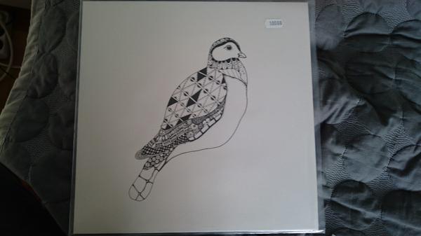 Adam Evald - Live Recordings From Borgströmska Institutet