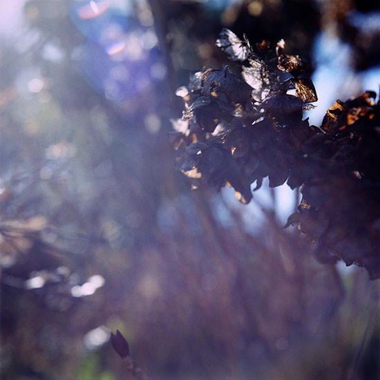 Alex Cobb - Passage To Morning