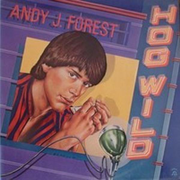 Andy J. Forest - Hog Wild