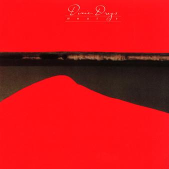 Dixie Dregs - What If