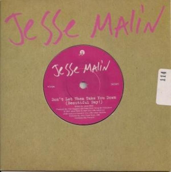 Jesse Malin - Don't Let Them Take You Down (Beautiful Day!)