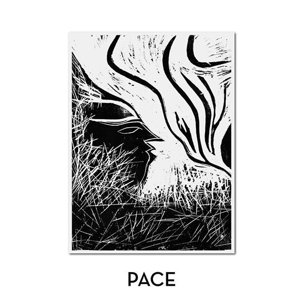 Marvin Horsch - Pace