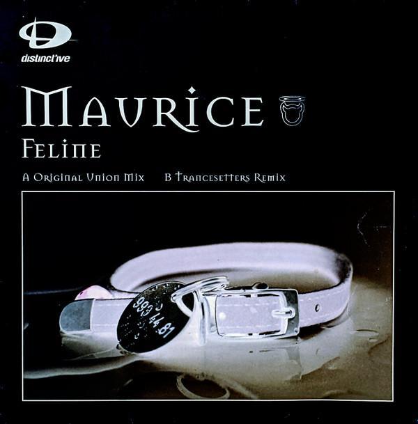 Maurice (2) - Feline