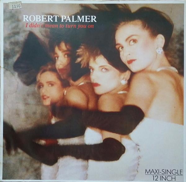 Robert Palmer - I Didn't Mean To Turn You On