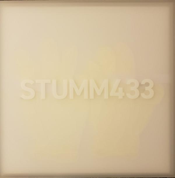  - STUMM433