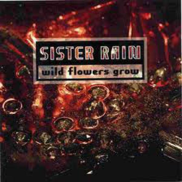 Sister Rain - Wild Flowers Grow
