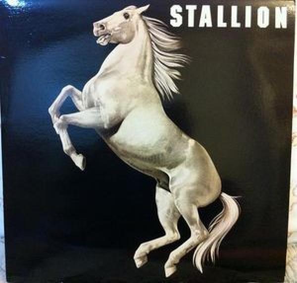 Stallion (2) - Stallion