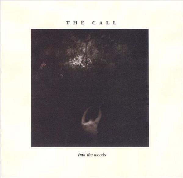 The Call - Into The Woods