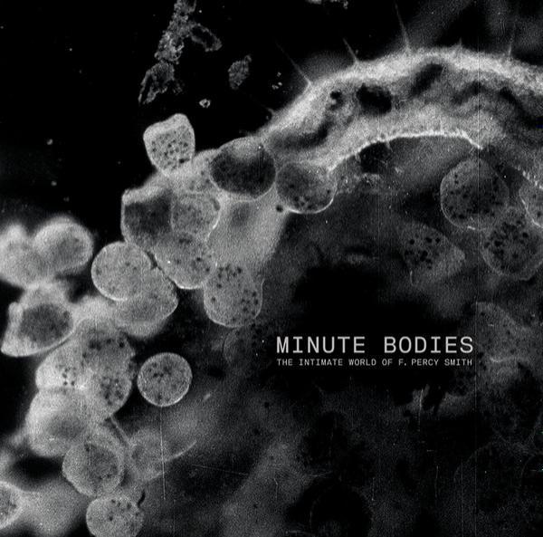 Tindersticks, Thomas Belhom, Christine Ott - Minute Bodies - The Intimate World Of F. Percy Smith