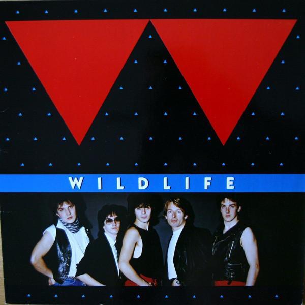 Wildlife  - Wildlife
